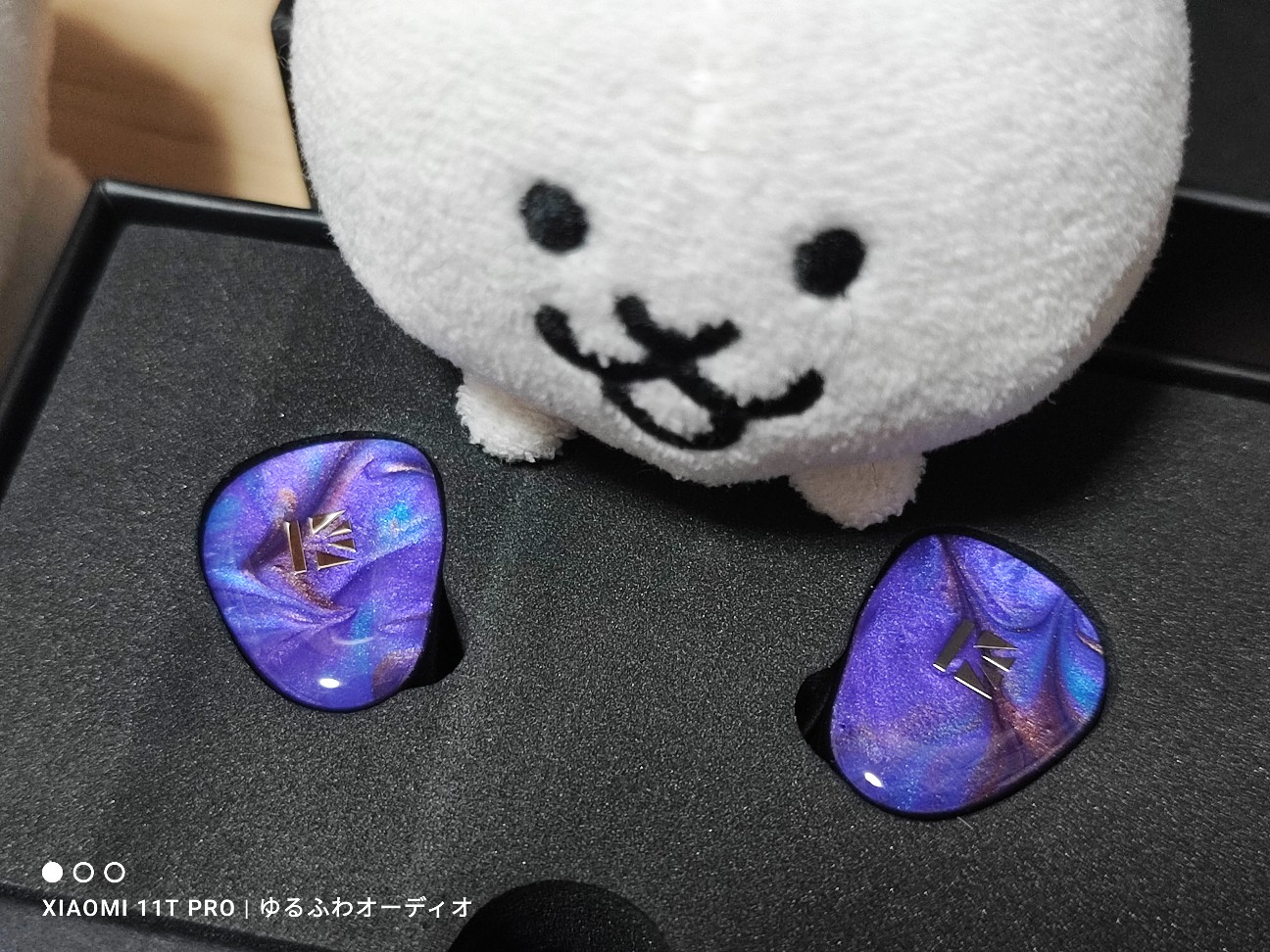f:id:el_snow:20241207233616j:image