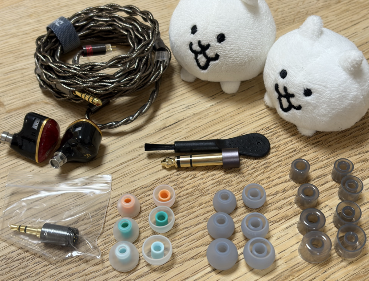 れいんのレビュー：オフ会にて投票A50K価格帯No1イヤホン『 DUNU 