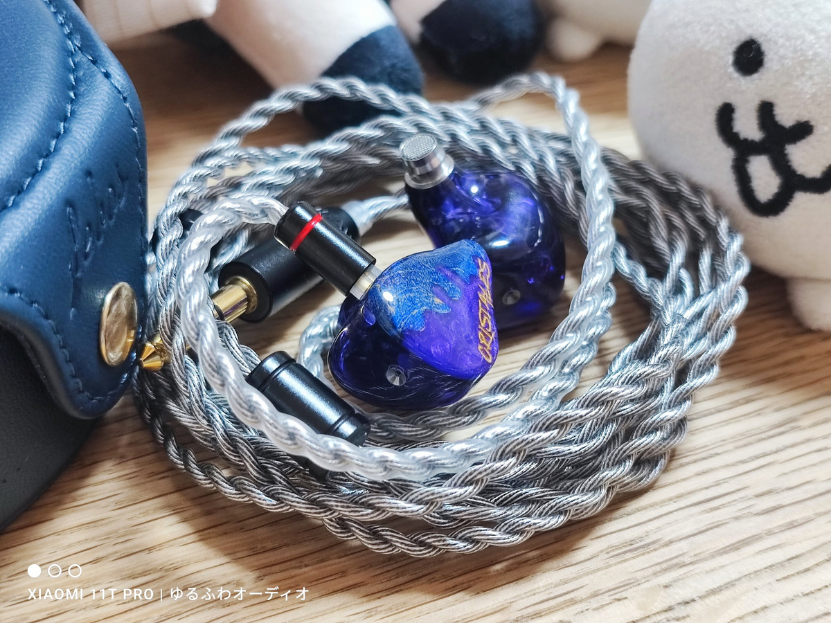 れいんのレビュー：『 Hisenior Cano Cristales 』自然の厳しさを教え