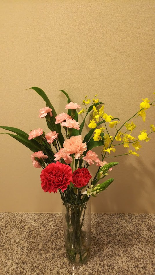 f:id:elabo18sr:20181114160848j:plain f:id:elabo18sr:20181114160848j:plain