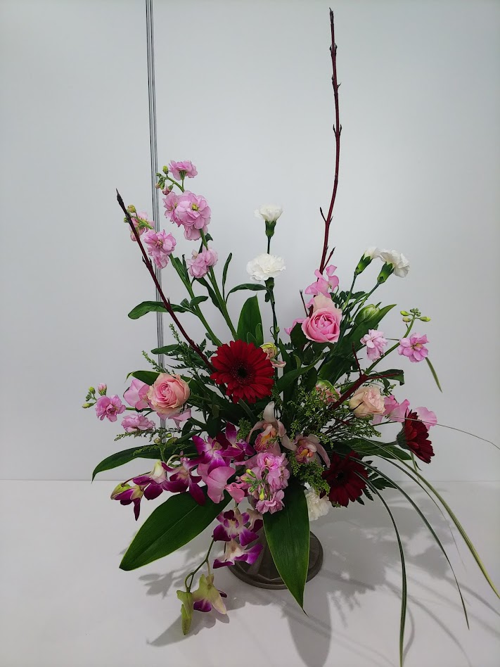 f:id:elabo18sr:20190112174135j:plain f:id:elabo18sr:20190112174135j:plain