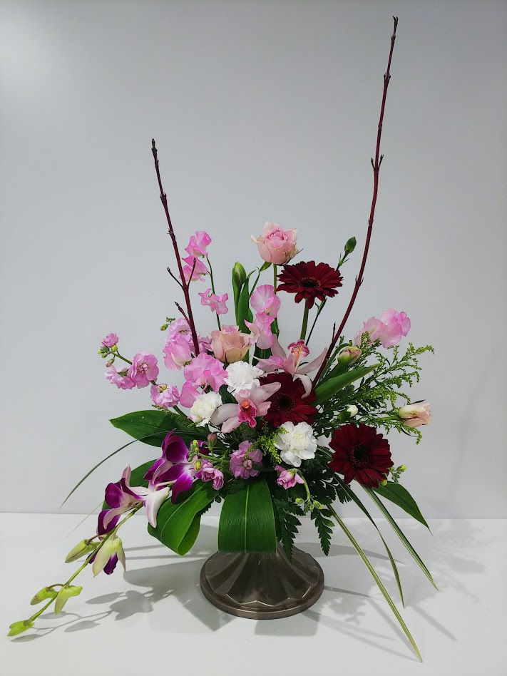 f:id:elabo18sr:20190112174157j:plain f:id:elabo18sr:20190112174157j:plain