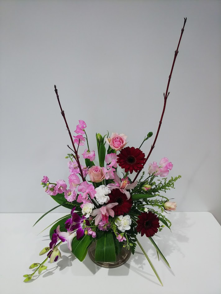 f:id:elabo18sr:20190112185700j:plain f:id:elabo18sr:20190112185700j:plain