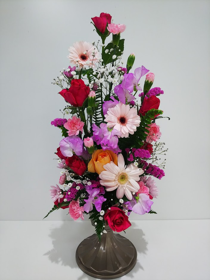 f:id:elabo18sr:20190127120024j:plain f:id:elabo18sr:20190127120024j:plain