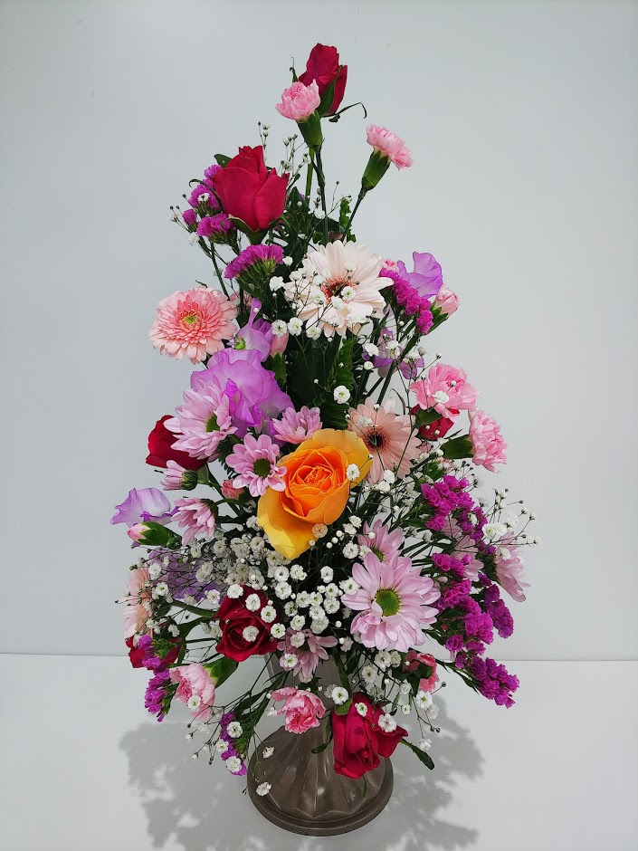 f:id:elabo18sr:20190127120027j:plain f:id:elabo18sr:20190127120027j:plain