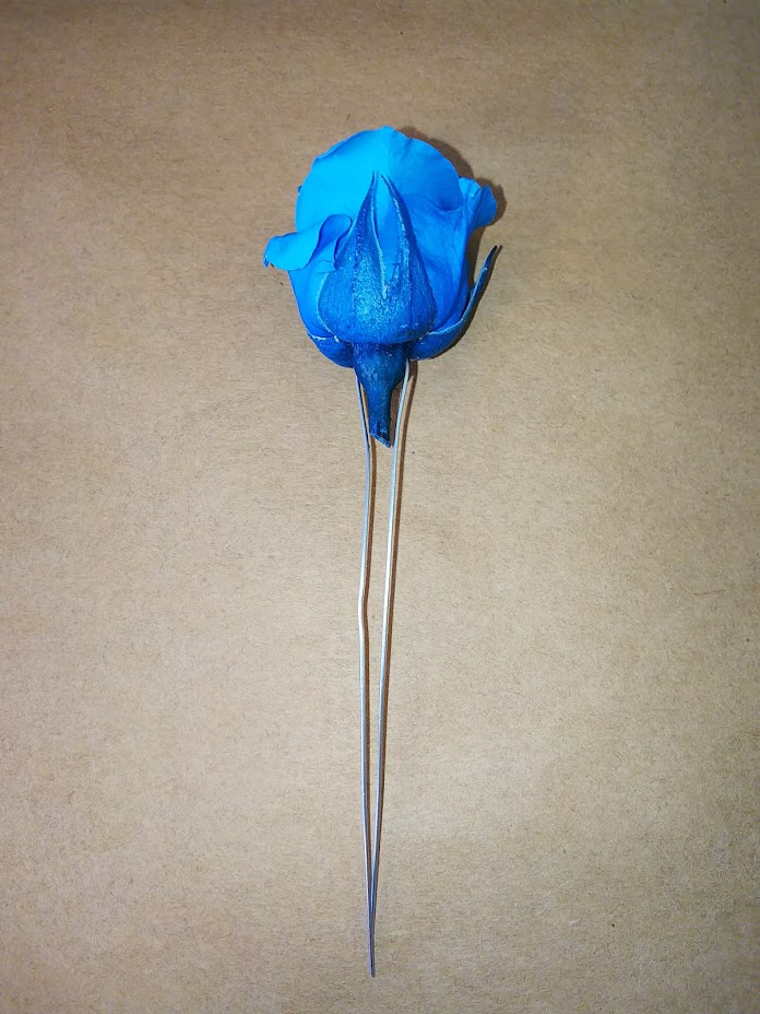 f:id:elabo18sr:20190211205058j:plain f:id:elabo18sr:20190211205058j:plain