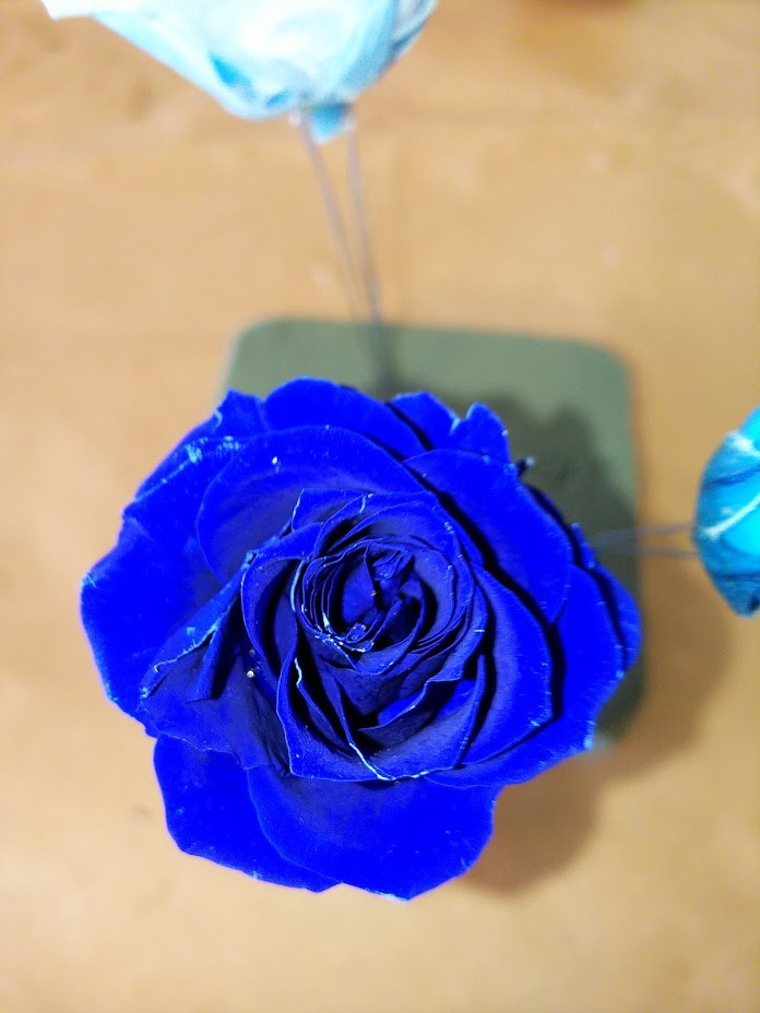 f:id:elabo18sr:20190211205328j:plain f:id:elabo18sr:20190211205328j:plain