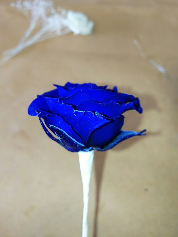 f:id:elabo18sr:20190211205552j:plain f:id:elabo18sr:20190211205552j:plain