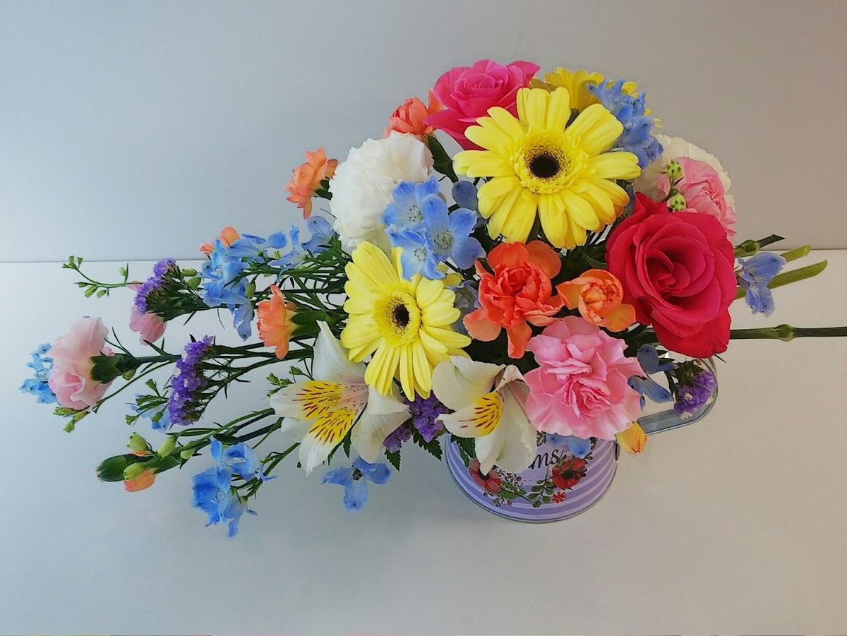 f:id:elabo18sr:20190607223857j:plain f:id:elabo18sr:20190607223857j:plain