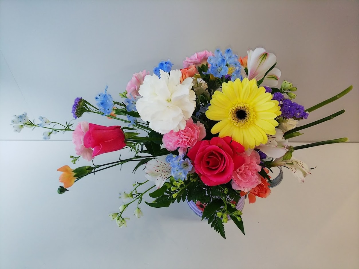 f:id:elabo18sr:20190607223859j:plain f:id:elabo18sr:20190607223859j:plain