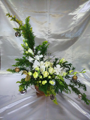 f:id:elabo18sr:20191225233411j:plain f:id:elabo18sr:20191225233411j:plain