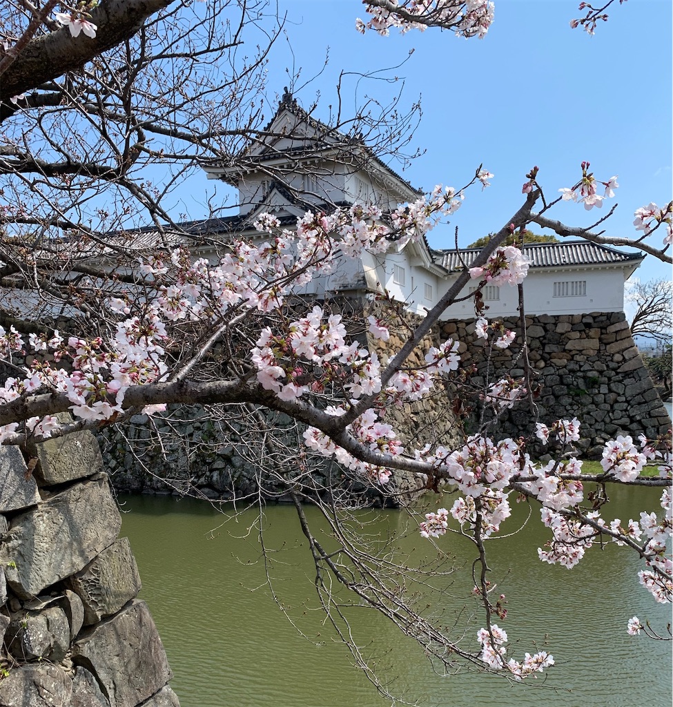 f:id:elais:20190331224546j:image