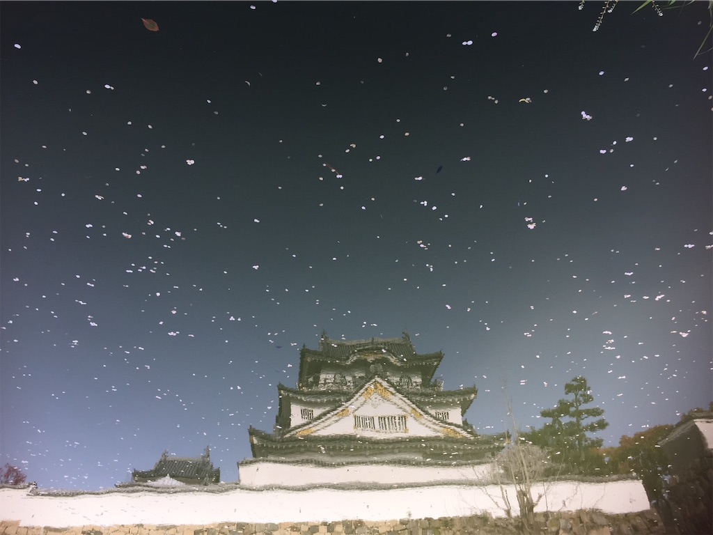 f:id:elais:20190331224817j:image