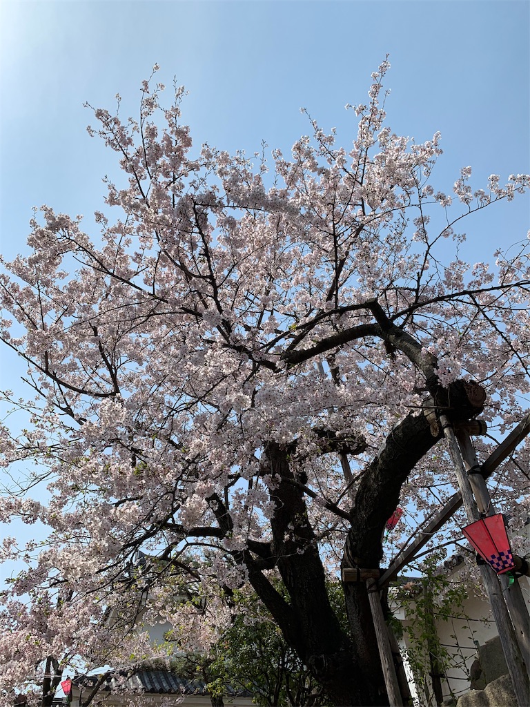 f:id:elais:20190408002728j:image
