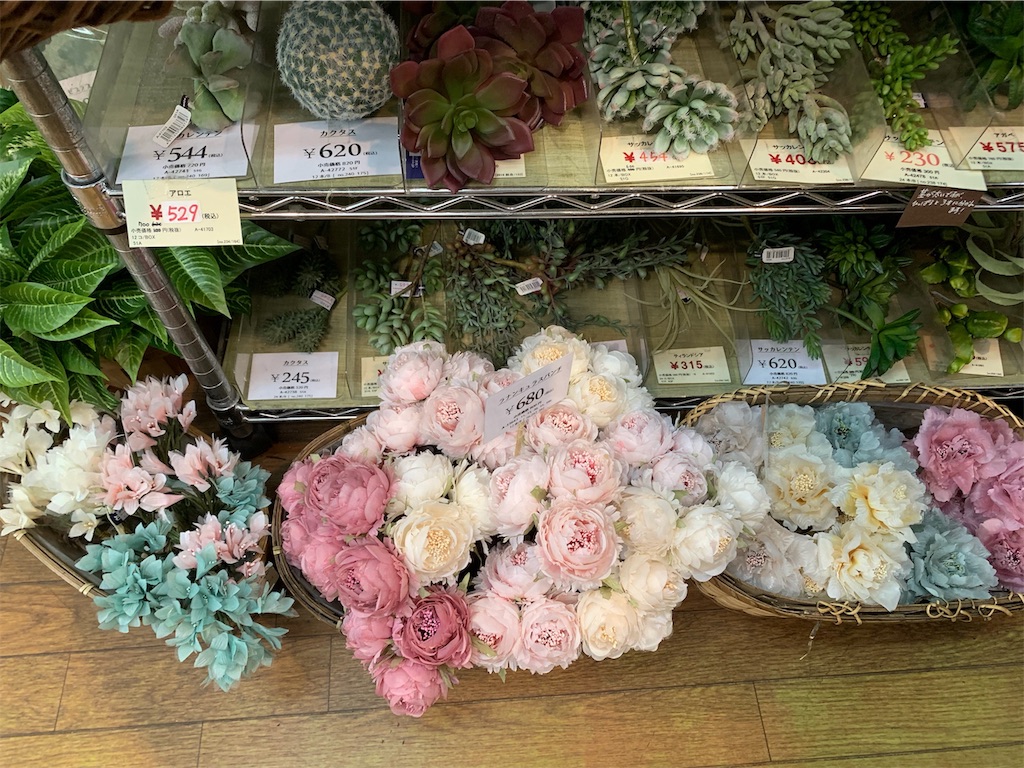 f:id:elais:20190408235423j:image f:id:elais:20190408235423j:image