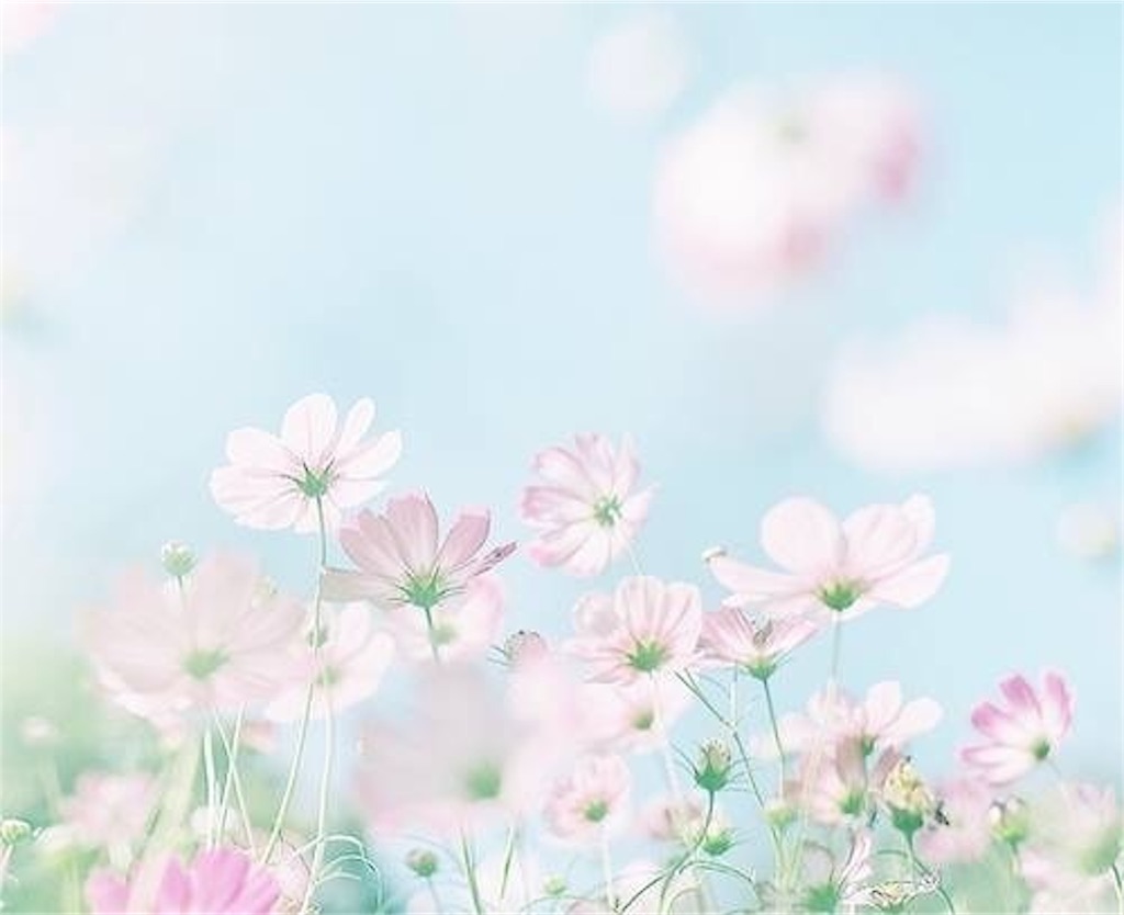 f:id:elais:20190923224050j:image f:id:elais:20190923224050j:image