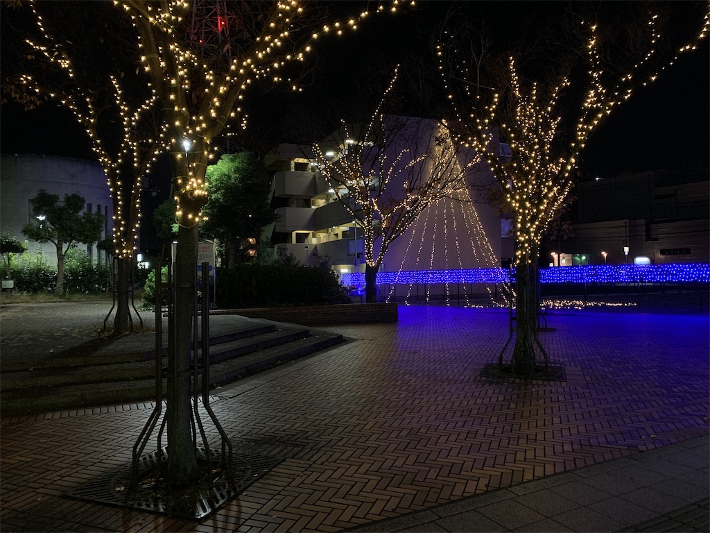 f:id:elais:20201207222101j:image f:id:elais:20201207222101j:image