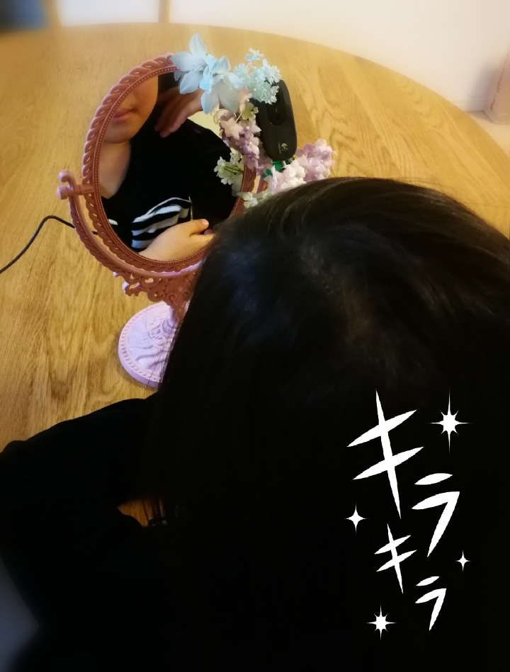 f:id:electricSheep:20171210191452j:plain:w400