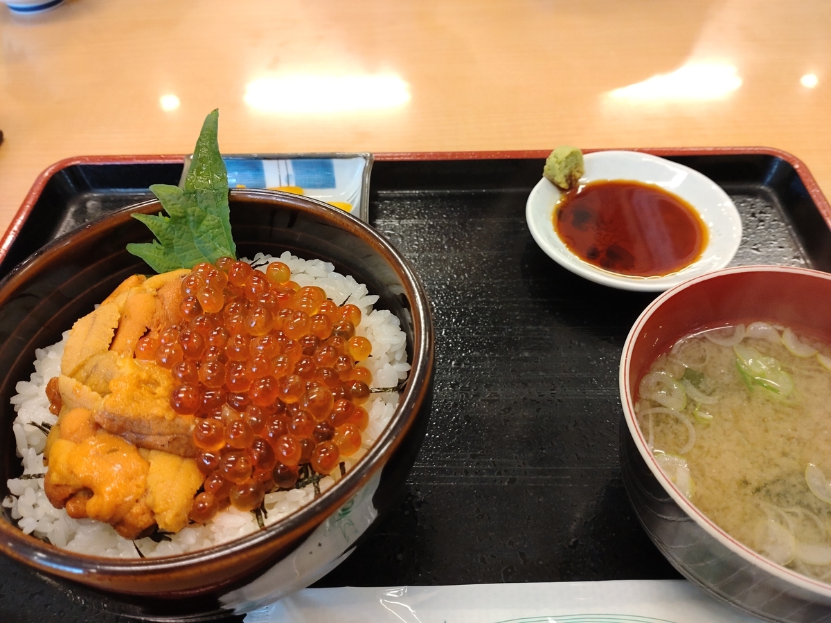 f:id:electricSheep:20220201132039j:plain