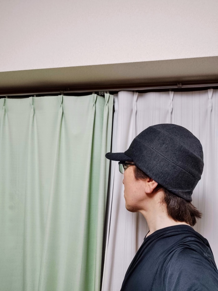 f:id:electric_eel_shock:20210905021514j:plain:w360