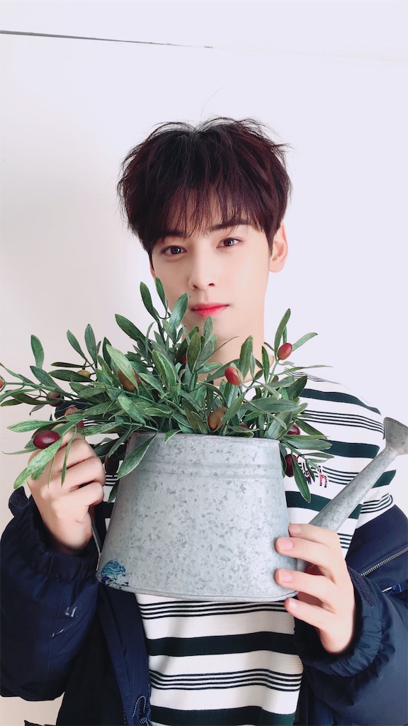 f:id:electricshock:20161229161254j:image