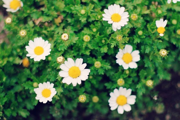 f:id:electricshock:20170319122014j:plain f:id:electricshock:20170319122014j:plain