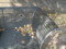 20091010112326