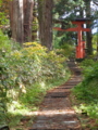 [羽黒山][鶴岡・羽黒][神社]