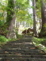 [羽黒山][鶴岡・羽黒][神社]