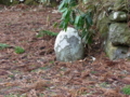 [羽黒山][鶴岡・羽黒][神社]終点 拾六丁十三間