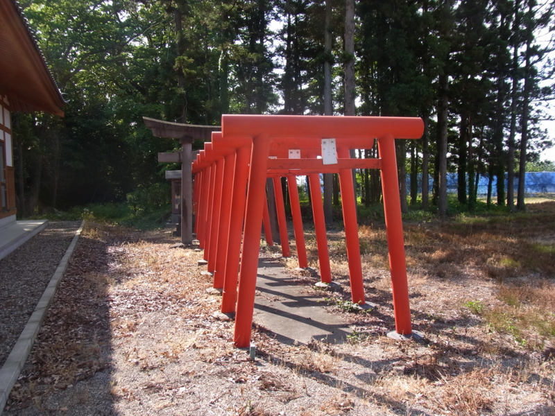 飛鳥 薬王山 東光寺
