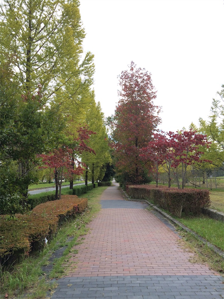 f:id:elegantdiet:20161031105114j:image f:id:elegantdiet:20161031105114j:image