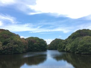 img_6173