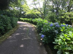 img_6182