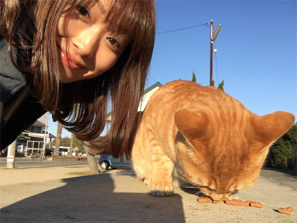 f:id:elica1114:20161120225530j:image f:id:elica1114:20161120225530j:image