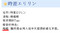 20080310222207