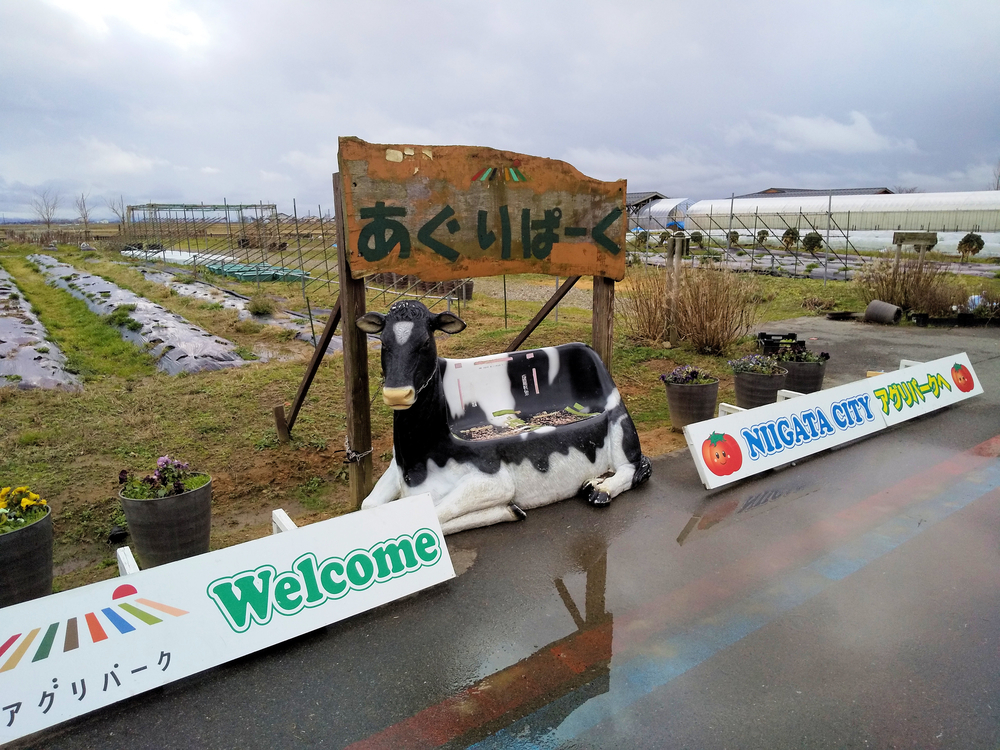 f:id:eliet0909:20200116115849j:plain