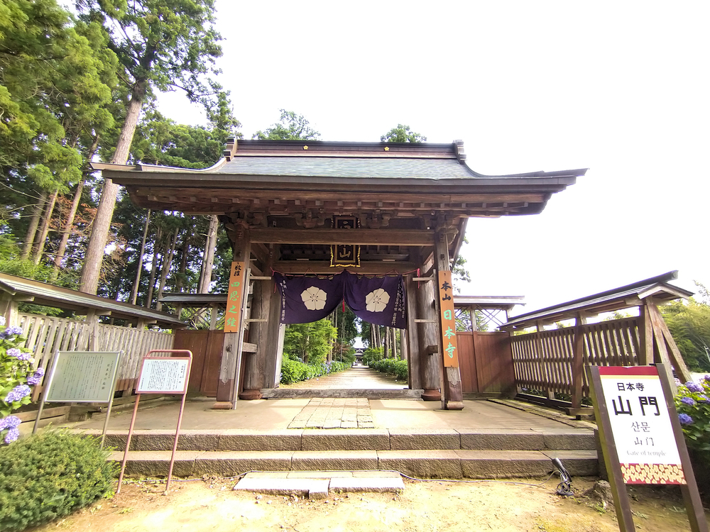 《千葉多古町》朝の日本寺、咲きはじめの紫陽花 エリエット~ささやかな〇〇っ 《千葉多古町》朝の日本寺、咲きはじめの紫陽花 エリエット~ささやかな〇〇っ