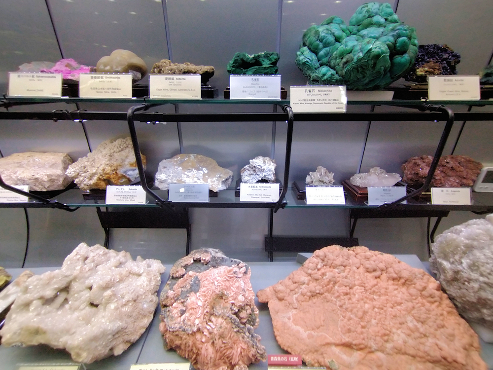 ♯Gzi10Fe好奇心倶部化石・鉱物標本図鑑2全12種ケース付き