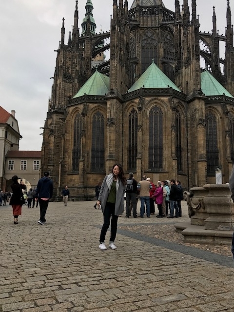 f:id:elifechan:20171014225942j:plain