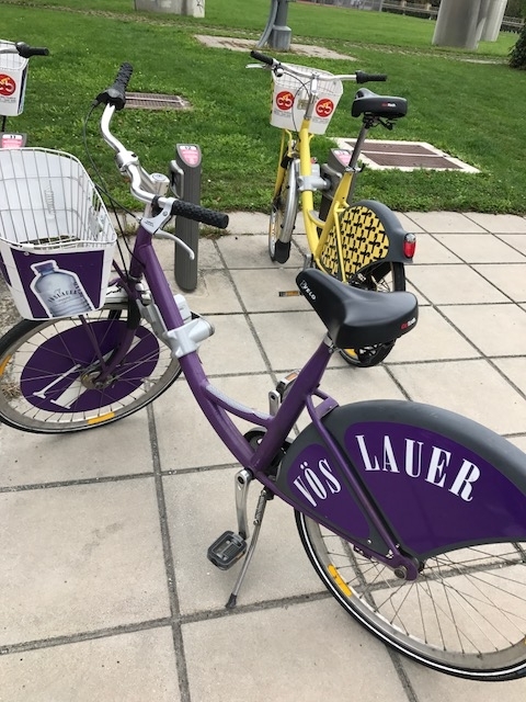 f:id:elifechan:20180128021659j:plain