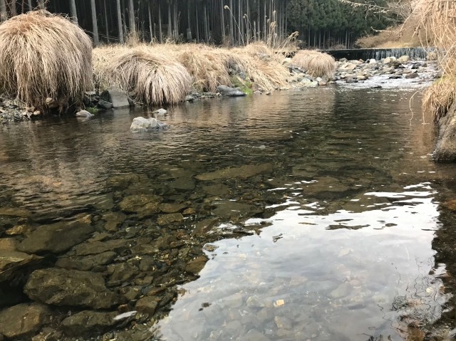 f:id:elk102:20190319195400j:image