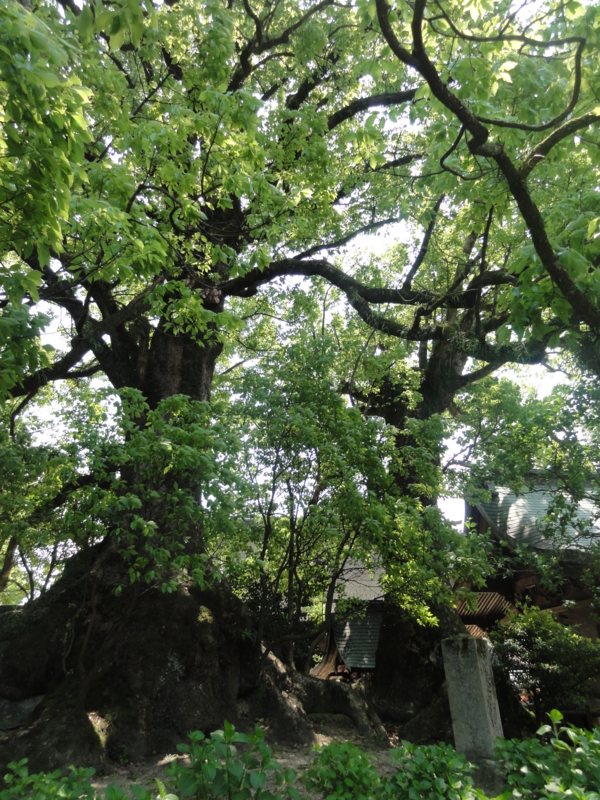 f:id:elkoravolo:20110517130451j:image