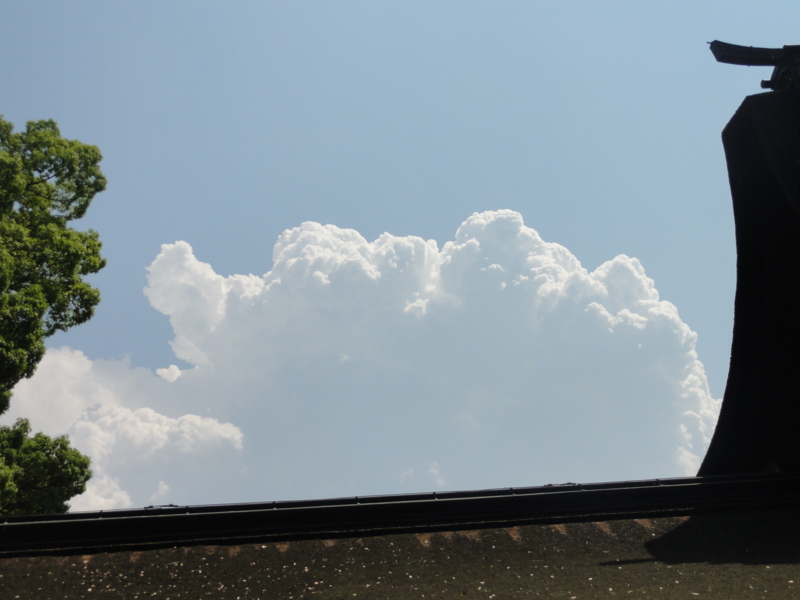 f:id:elkoravolo:20110517140211j:image