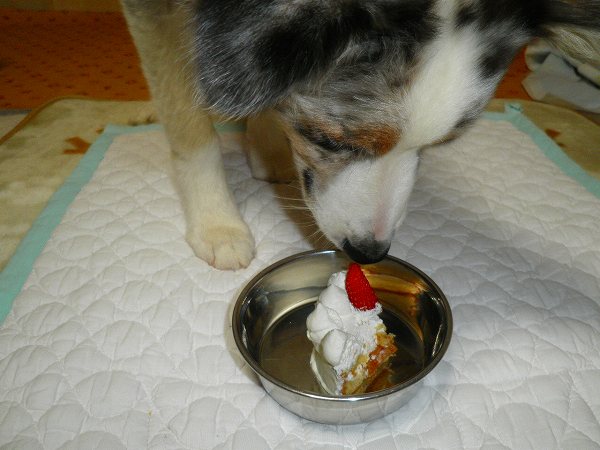 f:id:ell-blog:20111226003153j:image f:id:ell-blog:20111226003153j:image