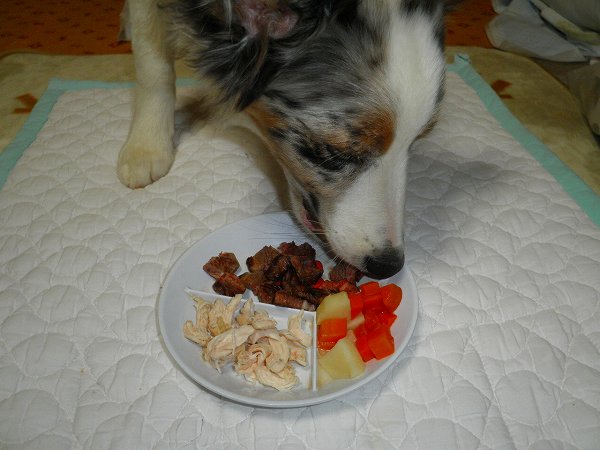 f:id:ell-blog:20111226003155j:image f:id:ell-blog:20111226003155j:image
