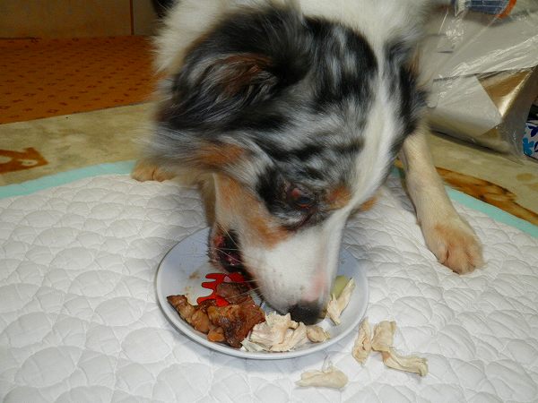 f:id:ell-blog:20111226003157j:image f:id:ell-blog:20111226003157j:image