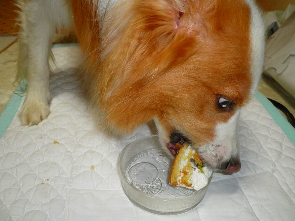 f:id:ell-blog:20111226003158j:image f:id:ell-blog:20111226003158j:image