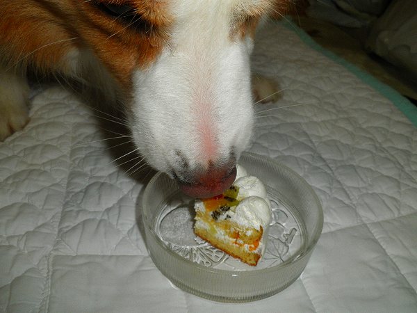 f:id:ell-blog:20111226003159j:image f:id:ell-blog:20111226003159j:image