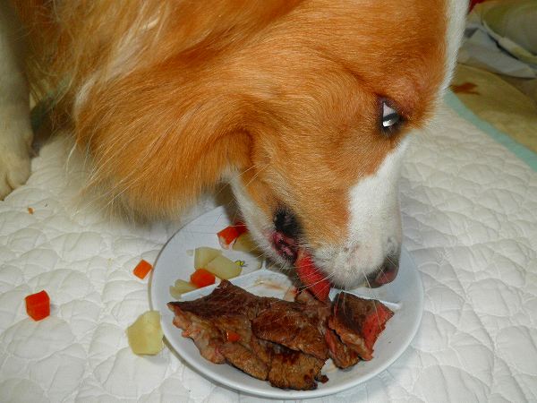 f:id:ell-blog:20111226003200j:image f:id:ell-blog:20111226003200j:image